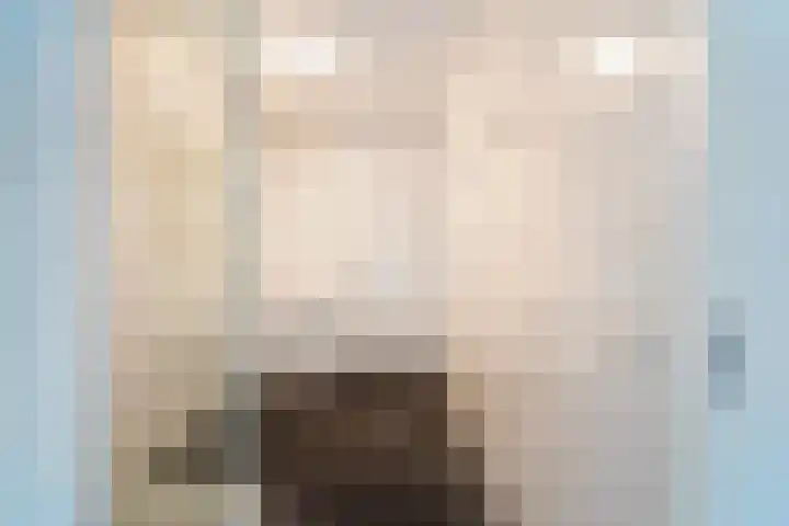 Veldesteijn 48 Maasland thumbnail 30