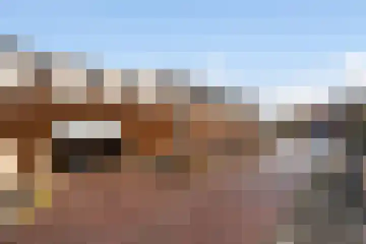 Veldesteijn 48 Maasland thumbnail 37