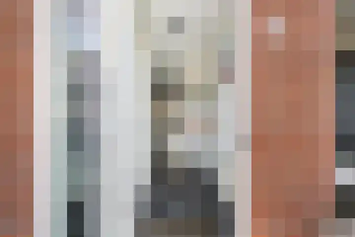 Veldesteijn 48 Maasland thumbnail 7