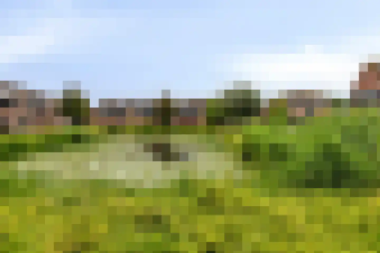 Veldewater 19 Nieuwerkerk aan den IJssel thumbnail 35