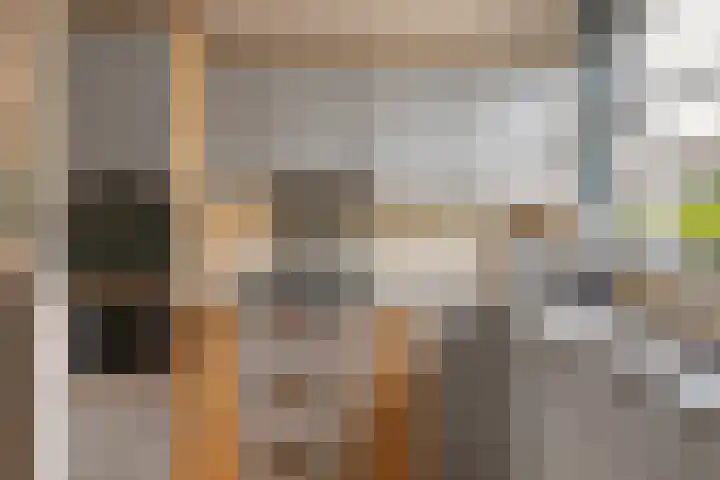 Veldewater 5 Nieuwerkerk aan den IJssel thumbnail 12