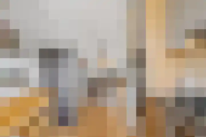 Veldewater 5 Nieuwerkerk aan den IJssel thumbnail 13