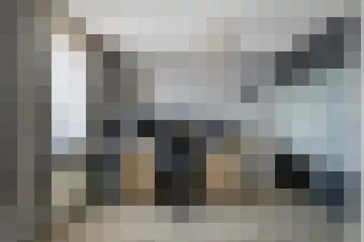 Veldewater 5 Nieuwerkerk aan den IJssel thumbnail 17