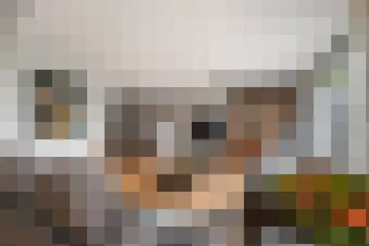 Veldewater 5 Nieuwerkerk aan den IJssel thumbnail 4