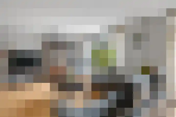 Veldewater 5 Nieuwerkerk aan den IJssel thumbnail 5