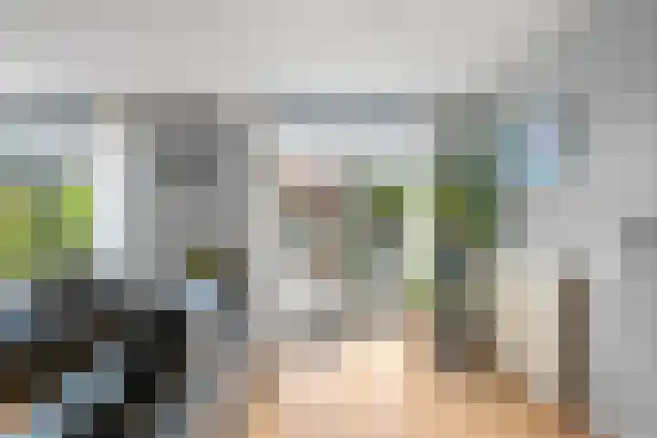 Veldewater 5 Nieuwerkerk aan den IJssel thumbnail 7
