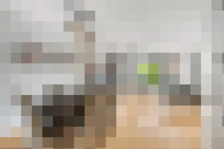 Veldewater 5 Nieuwerkerk aan den IJssel thumbnail 9