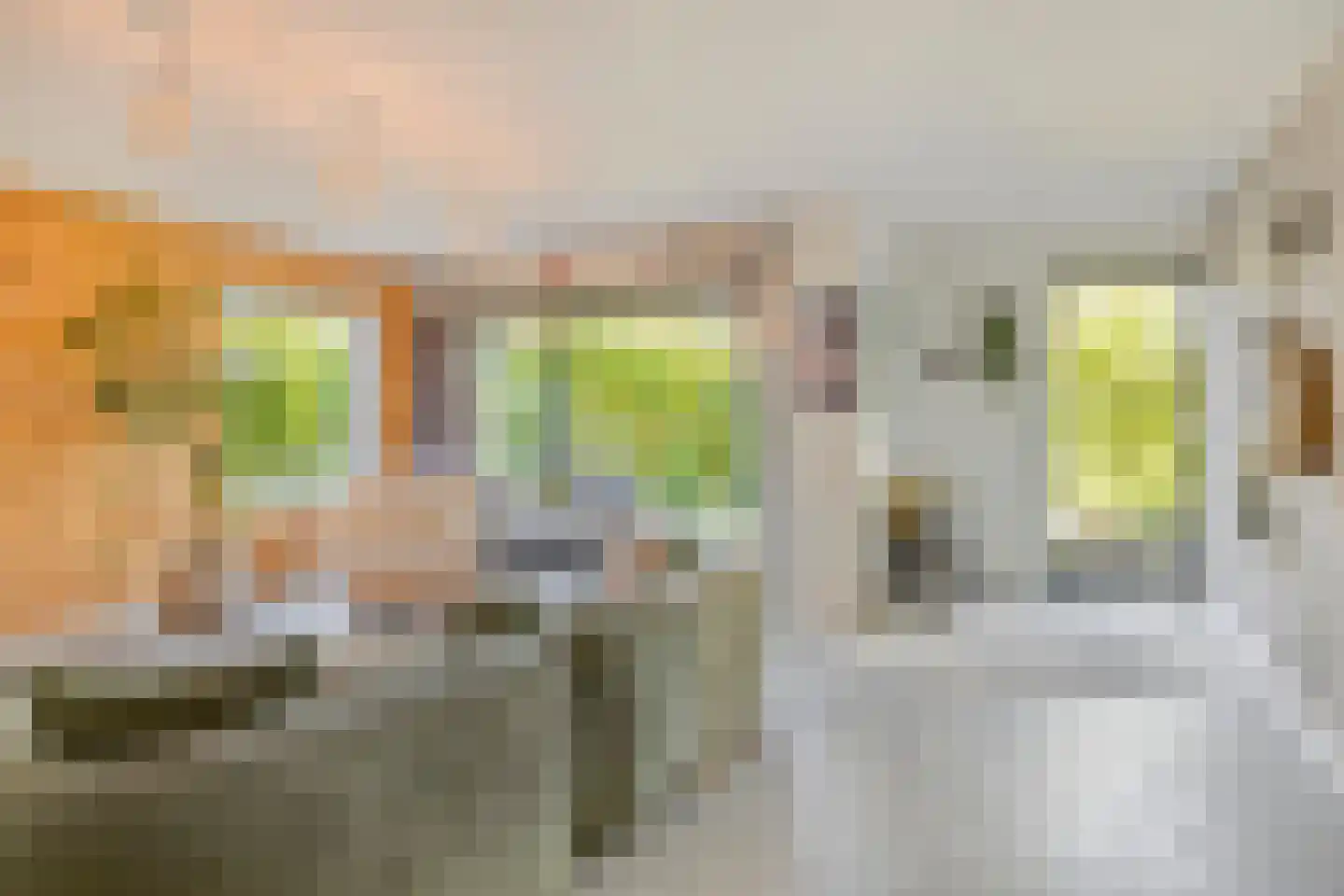 Veldhaarweg 100 Enschede thumbnail 10