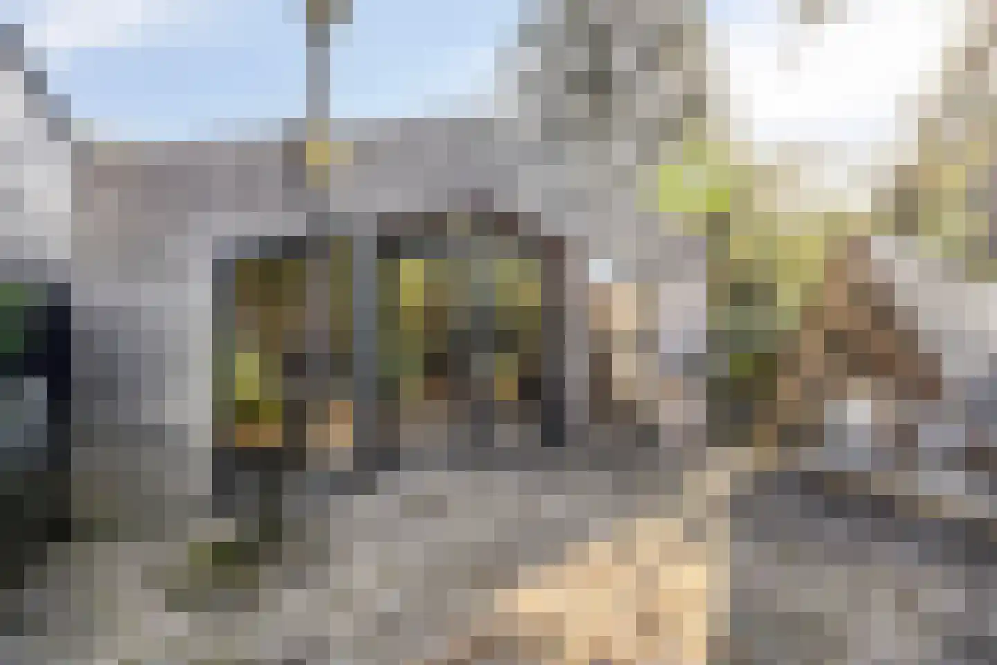Veldhaarweg 100 Enschede thumbnail 23