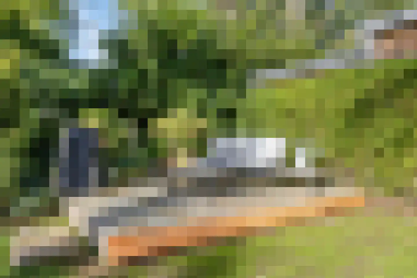 Veldhaarweg 100 Enschede thumbnail 27