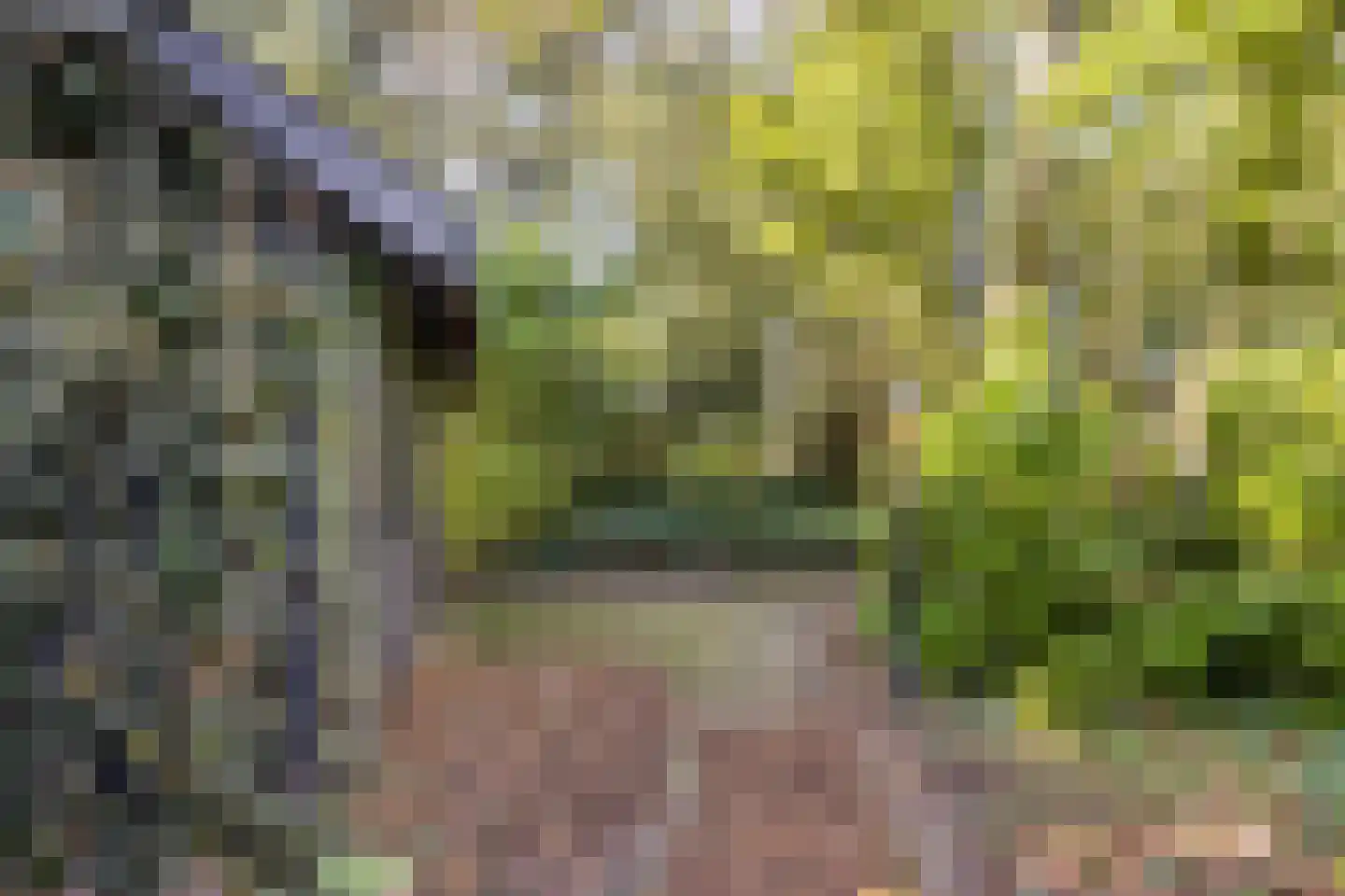 Veldhaarweg 100 Enschede thumbnail 32