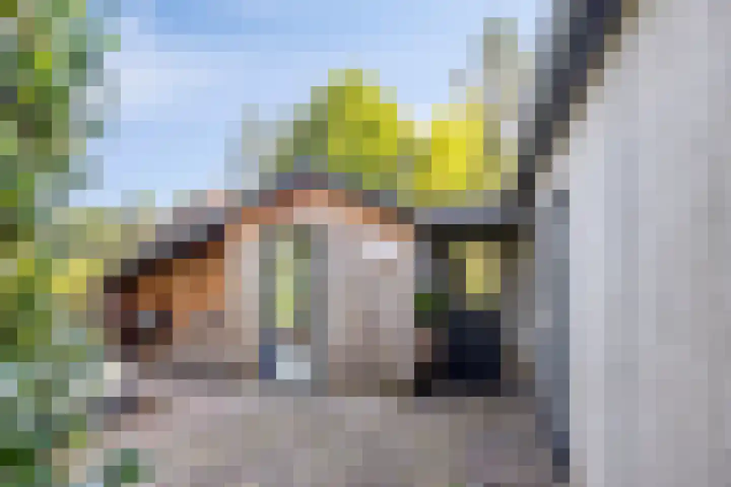 Veldhaarweg 100 Enschede thumbnail 37