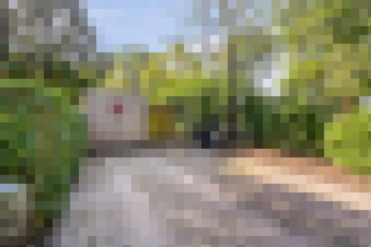 Veldhaarweg 100 Enschede thumbnail 39
