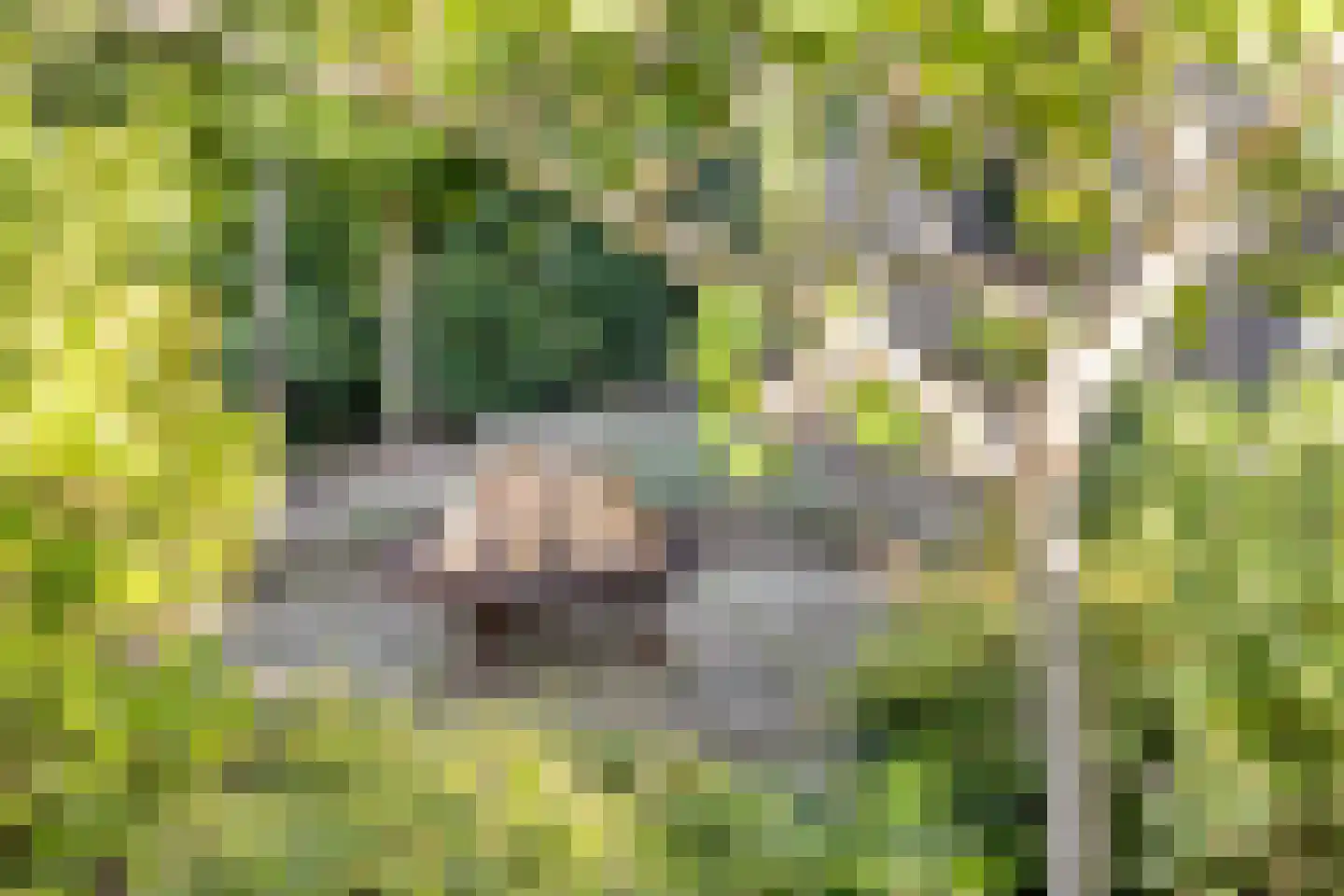 Veldhaarweg 100 Enschede thumbnail 6