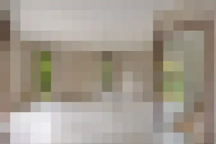 Veldhaarweg 2 Enschede thumbnail 11