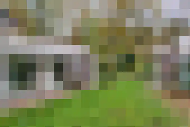 Veldhaarweg 2 Enschede thumbnail 32