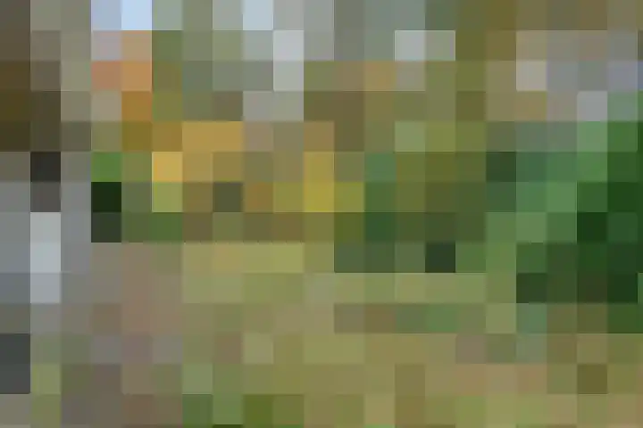 Veldhaarweg 2 Enschede thumbnail 36