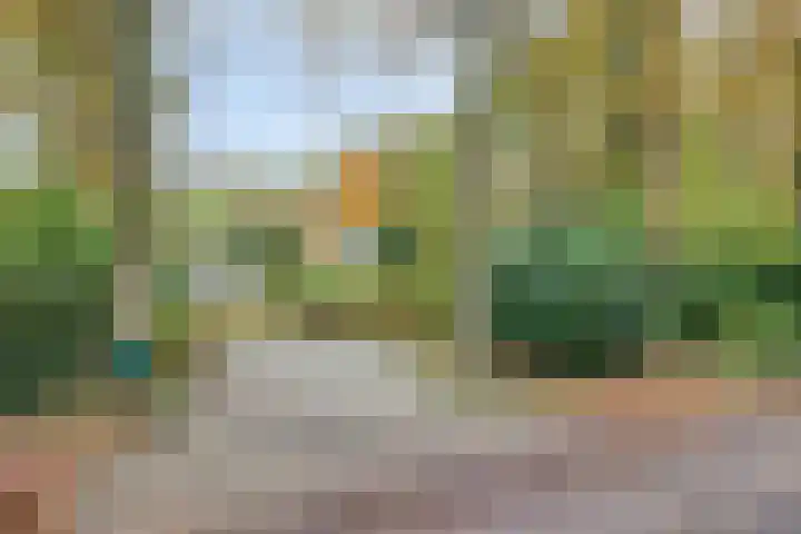 Veldhaarweg 2 Enschede thumbnail 39