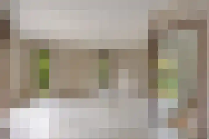 Veldhaarweg 2 Enschede thumbnail 4