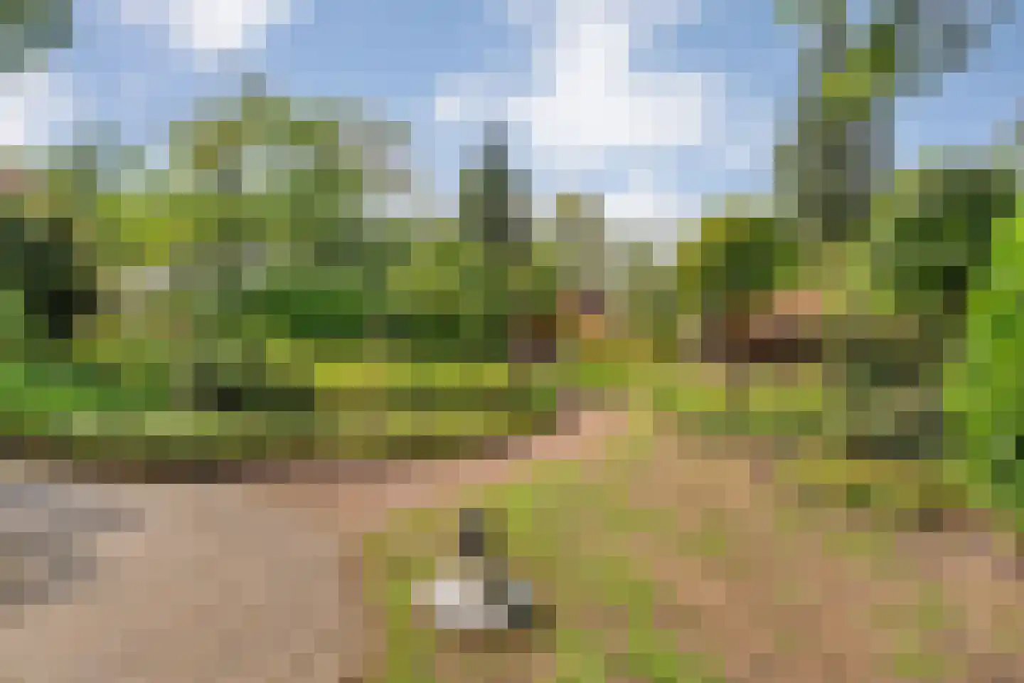 Veldhaarweg 30 Enschede thumbnail 4