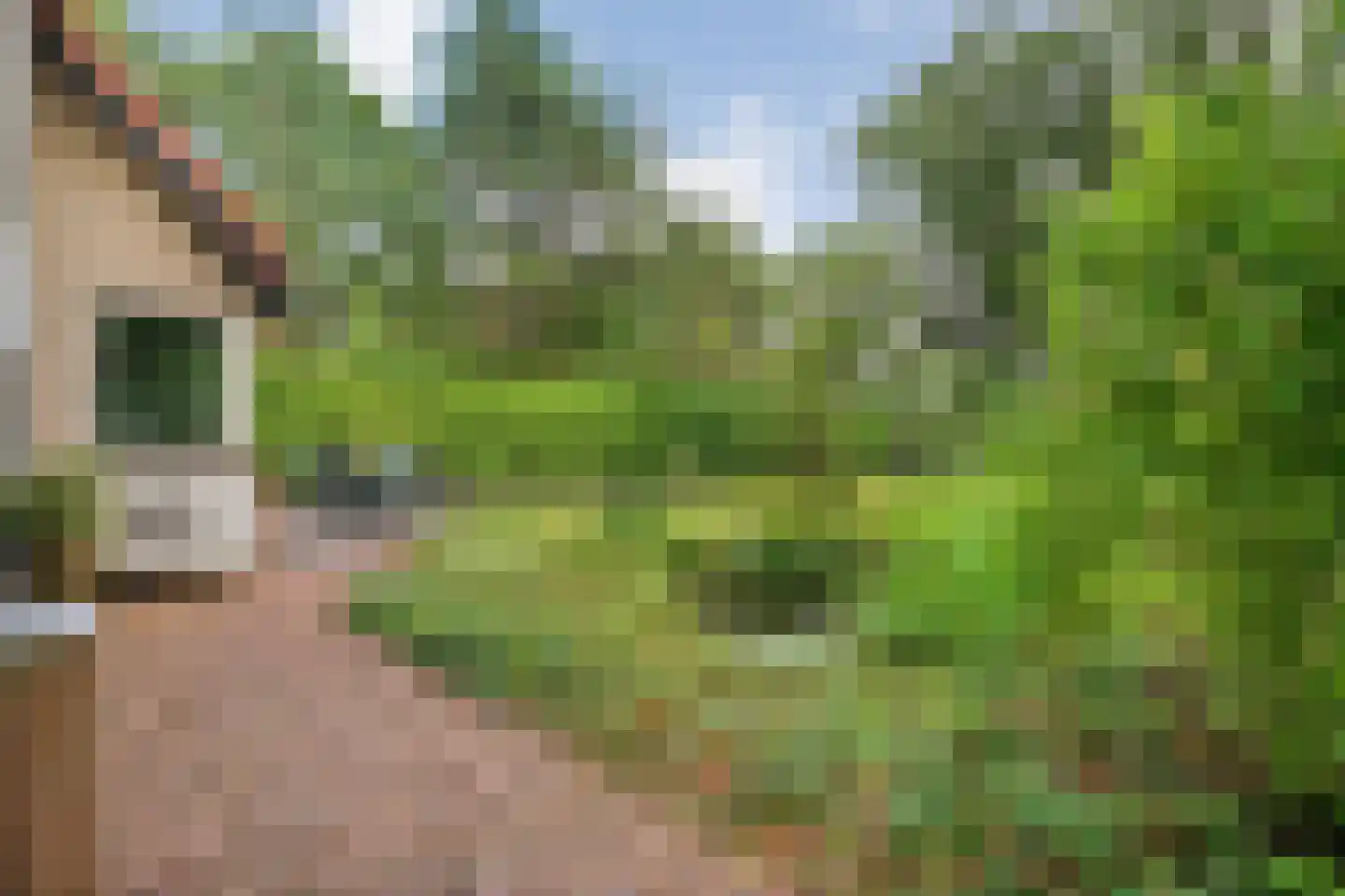 Veldhaarweg 30 Enschede thumbnail 46