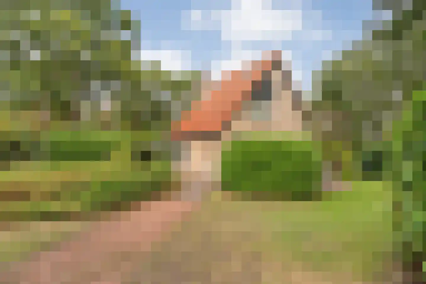 Veldhaarweg 30 Enschede thumbnail 60