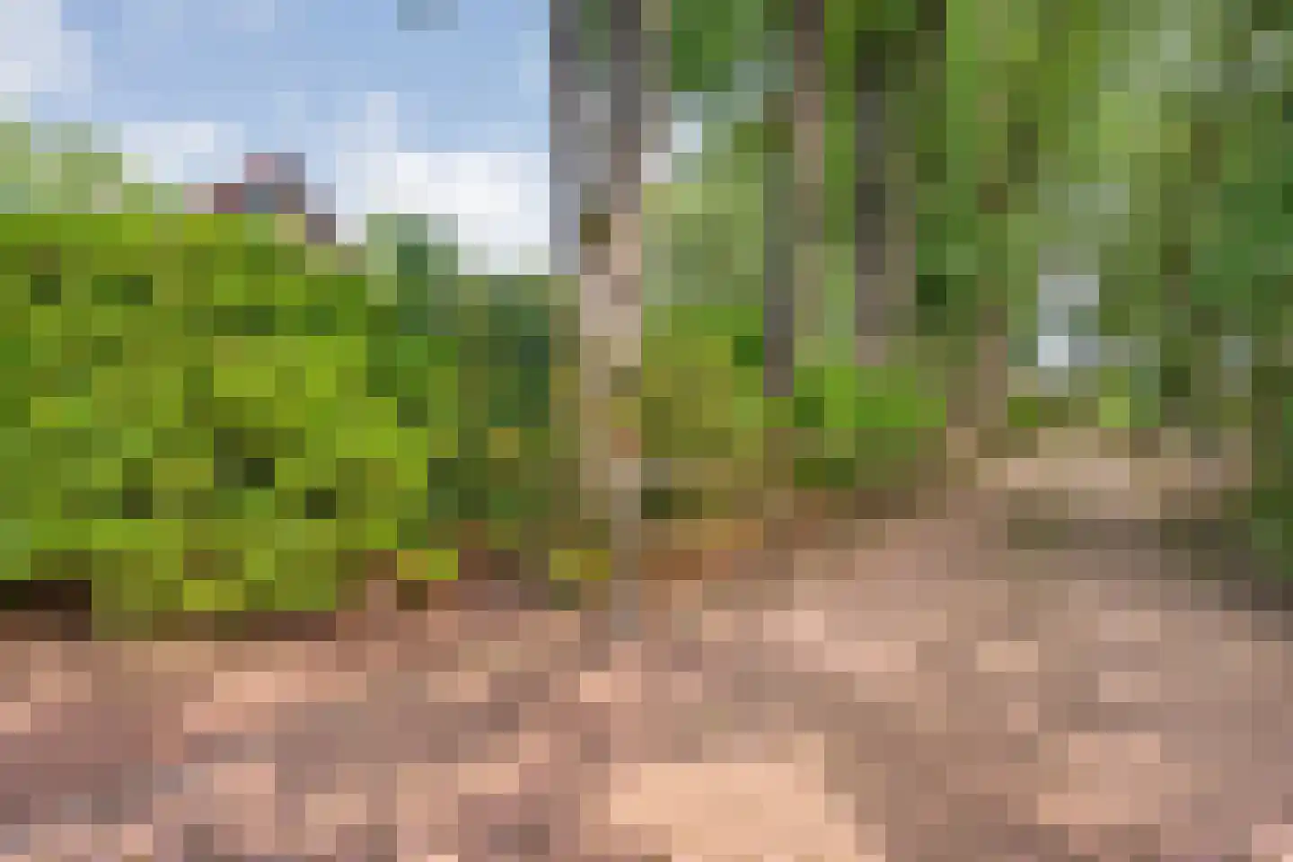 Veldhaarweg 30 Enschede thumbnail 62