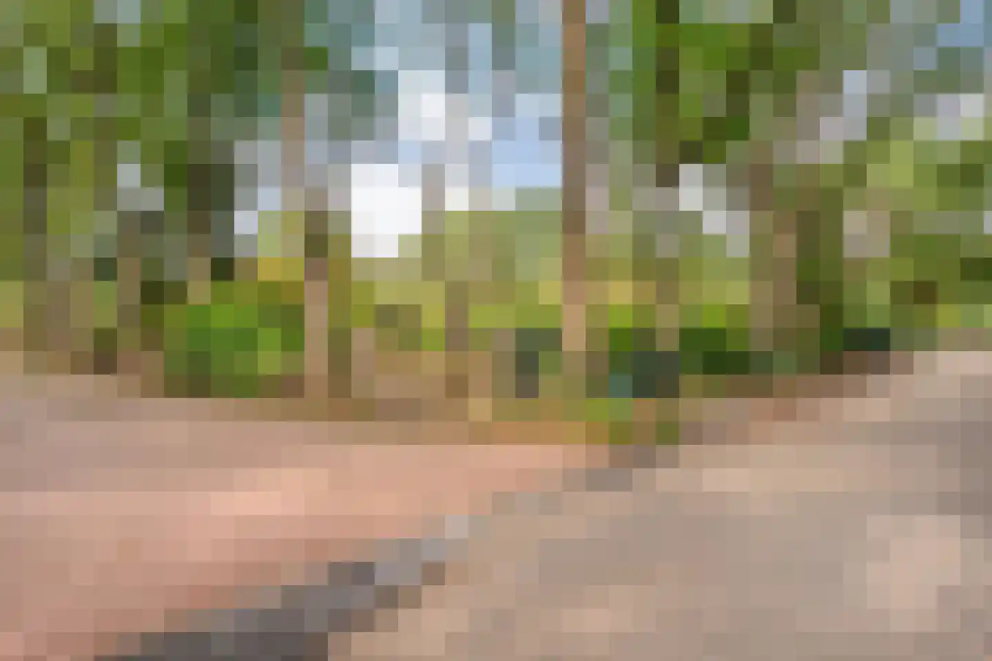 Veldhaarweg 30 Enschede thumbnail 63