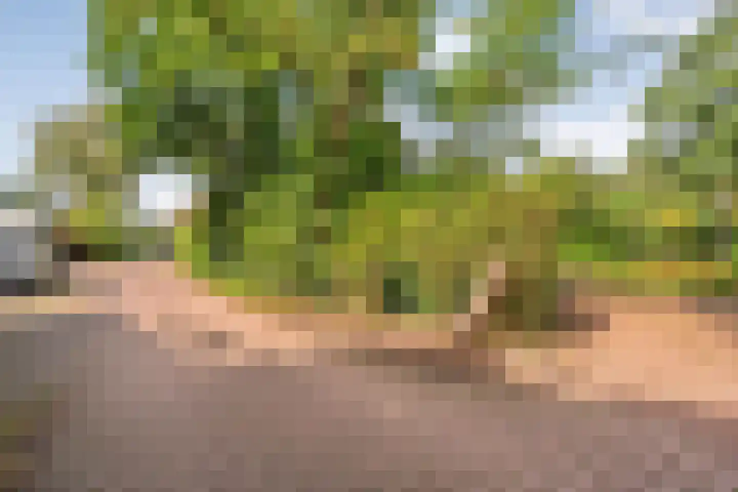 Veldhaarweg 30 Enschede thumbnail 64