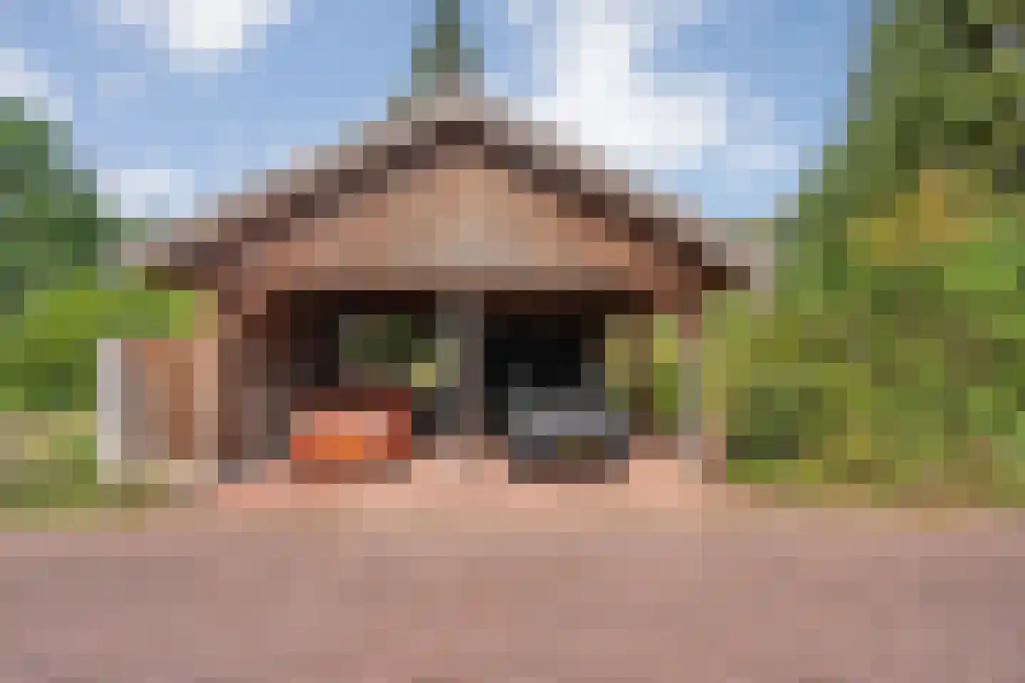 Veldhaarweg 30 Enschede thumbnail 65