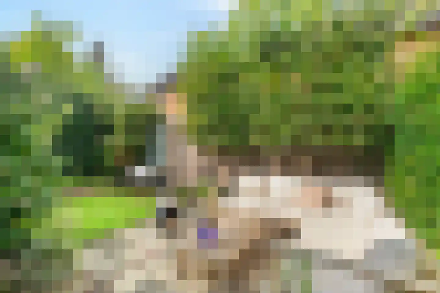 Veldheimerlaan 11 A Bussum thumbnail 5