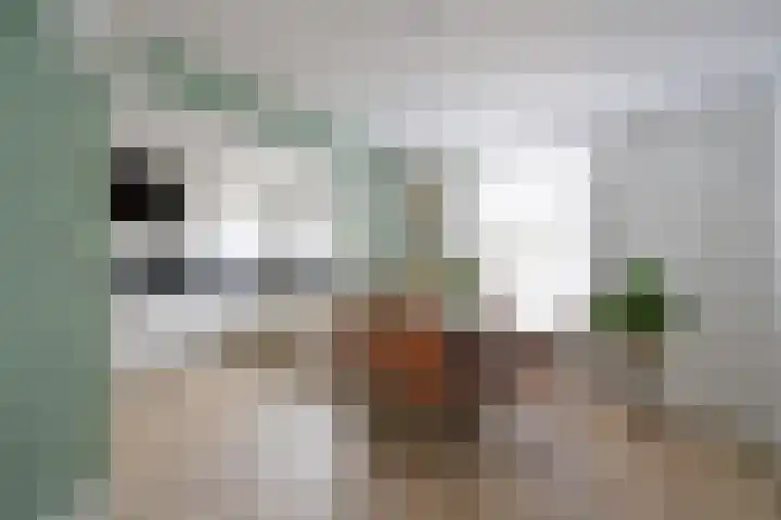 Veldheimerlaan 60 Bussum thumbnail 8