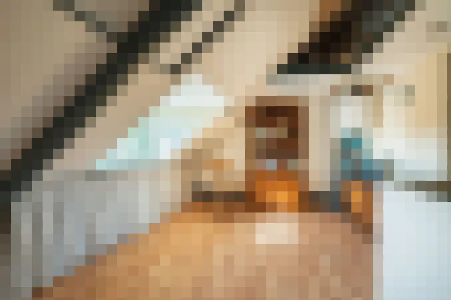 Veldheimlaan 3 Zeist thumbnail 17