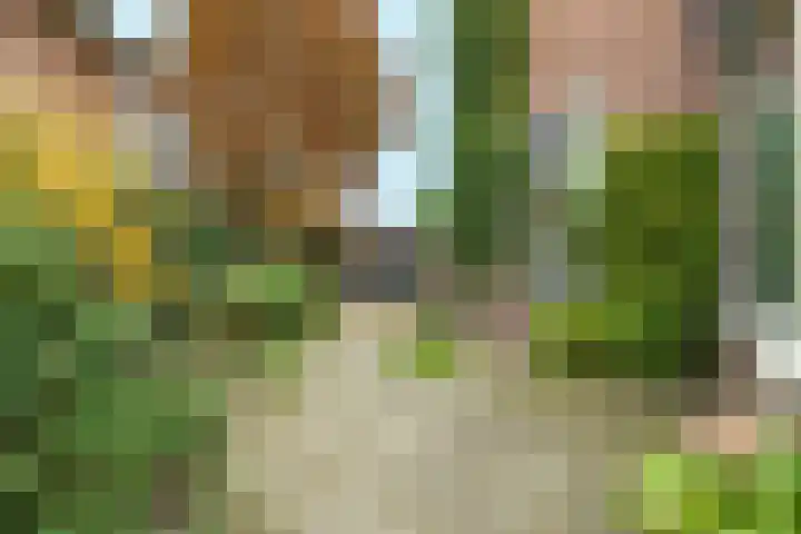Veldheimlaan 51 Zeist foto 2