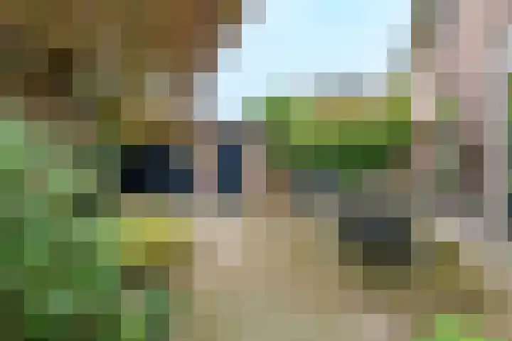 Veldheimlaan 51 Zeist thumbnail 24