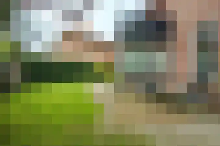 Veldheimlaan 51 Zeist thumbnail 27