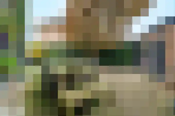Veldheimlaan 51 Zeist thumbnail 28