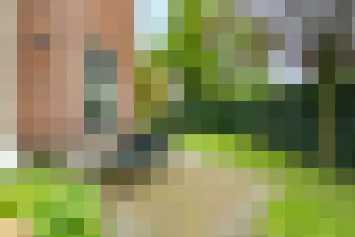 Veldheimlaan 51 Zeist thumbnail 30