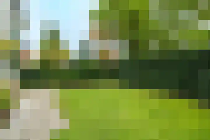 Veldheimlaan 51 Zeist thumbnail 31