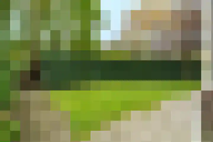 Veldheimlaan 51 Zeist thumbnail 32