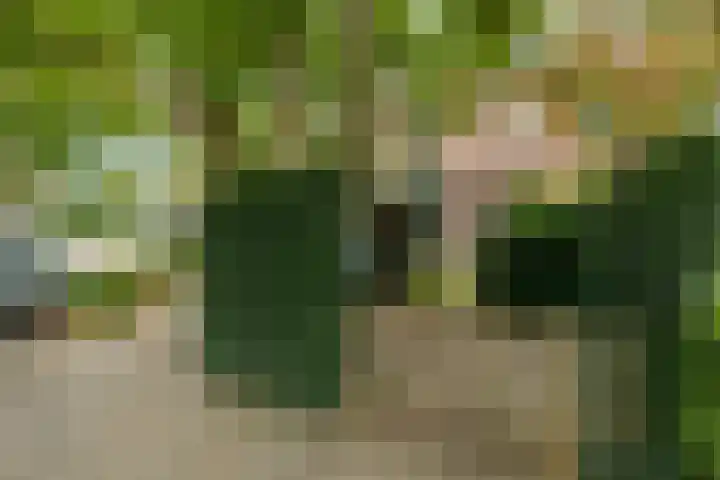 Veldheimlaan 51 Zeist thumbnail 33