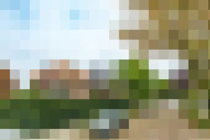 Veldheimlaan 51 Zeist thumbnail 35