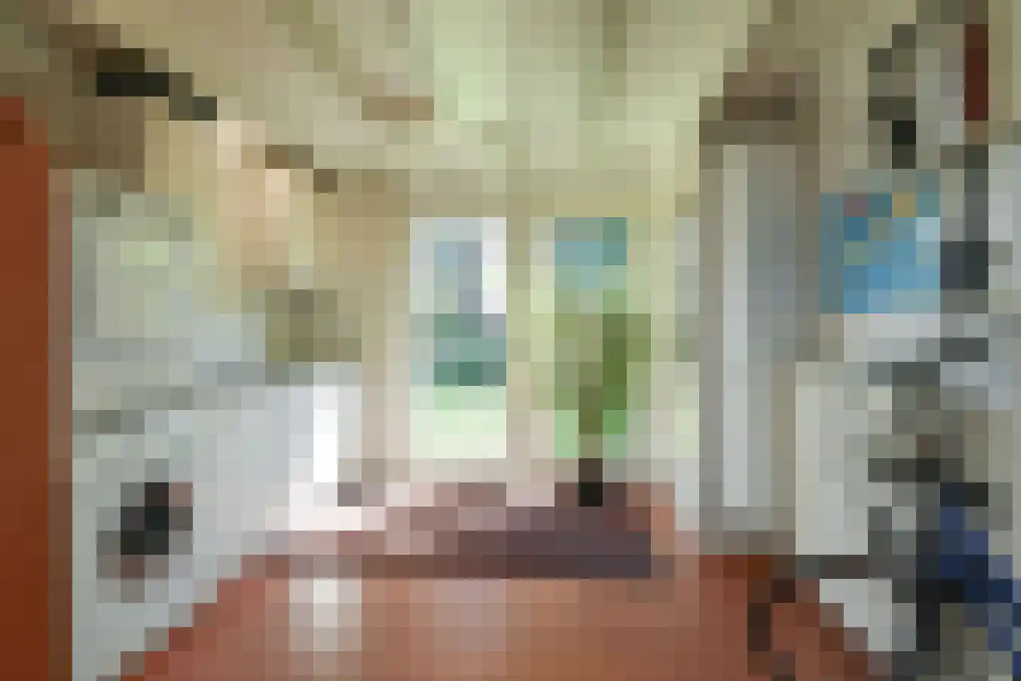 Veldheimweg 2 Renkum thumbnail 22