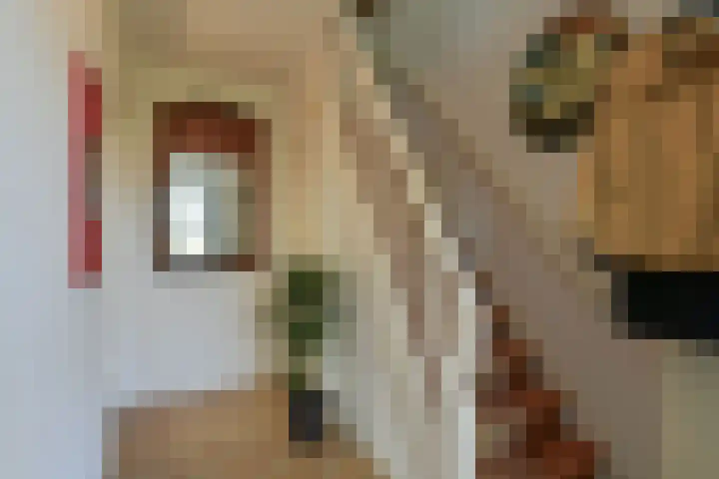 Veldheimweg 2 Renkum thumbnail 23