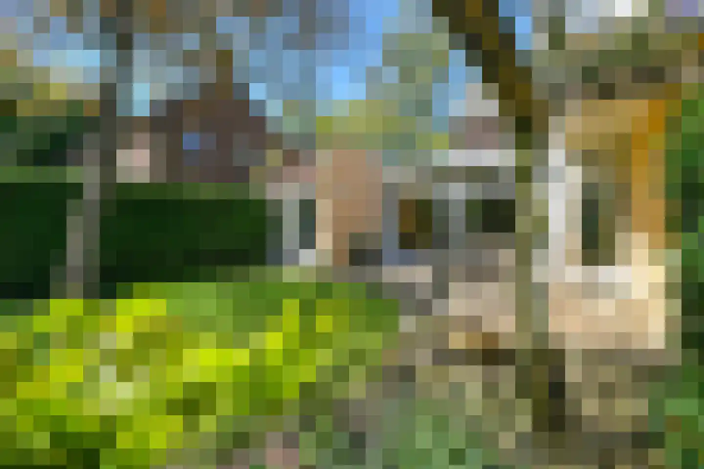 Veldheimweg 2 Renkum thumbnail 33