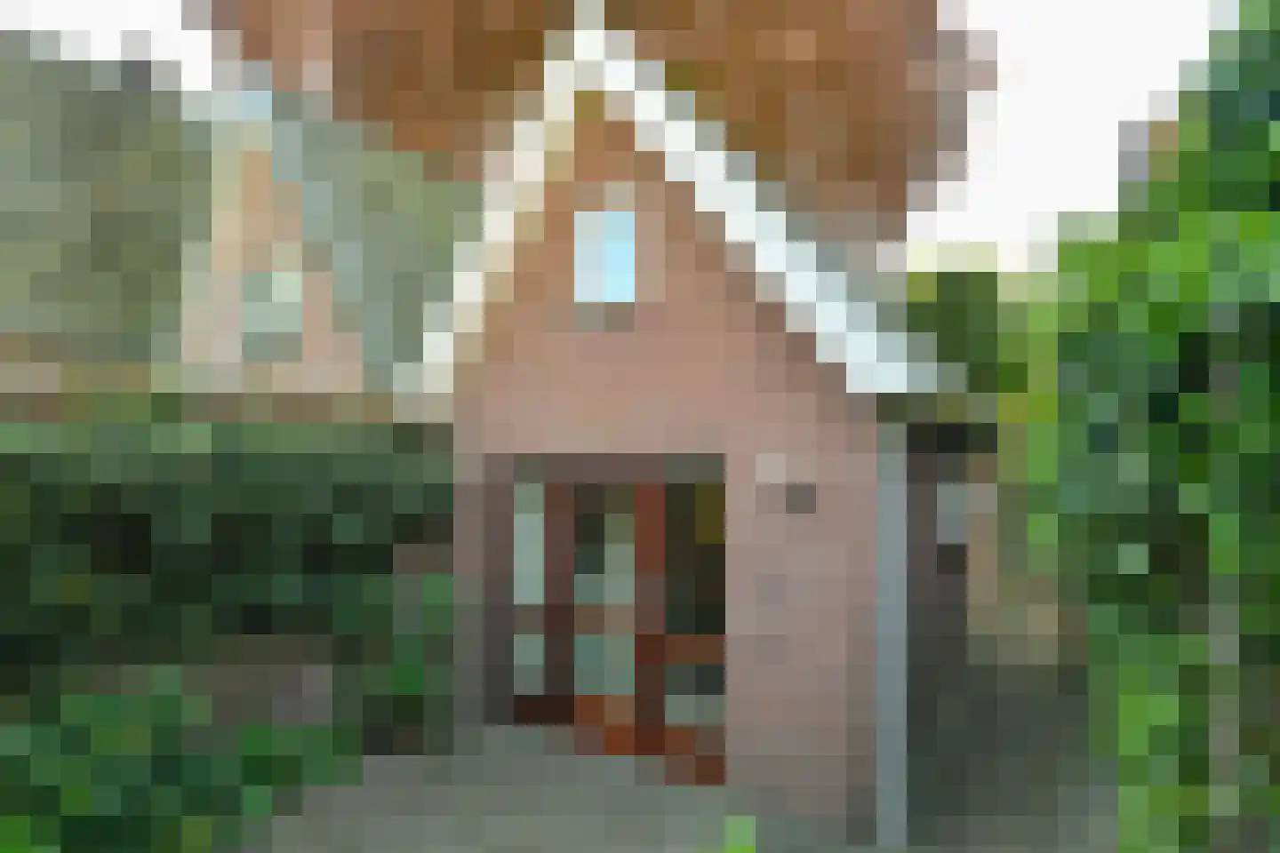 Veldheimweg 2 Renkum thumbnail 38