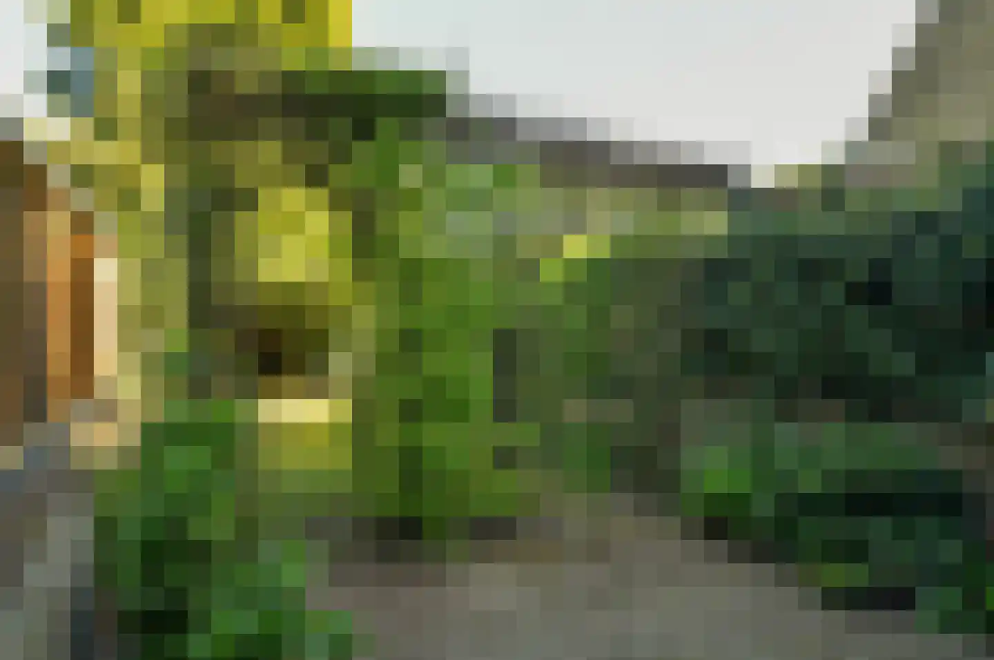 Veldheimweg 2 Renkum thumbnail 39