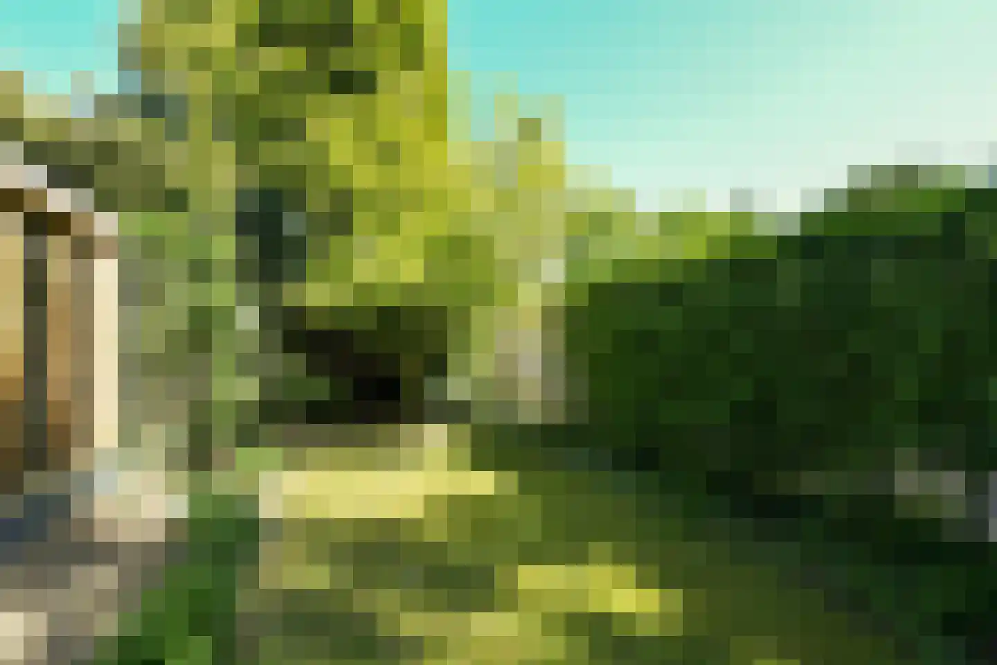 Veldheimweg 2 Renkum thumbnail 40