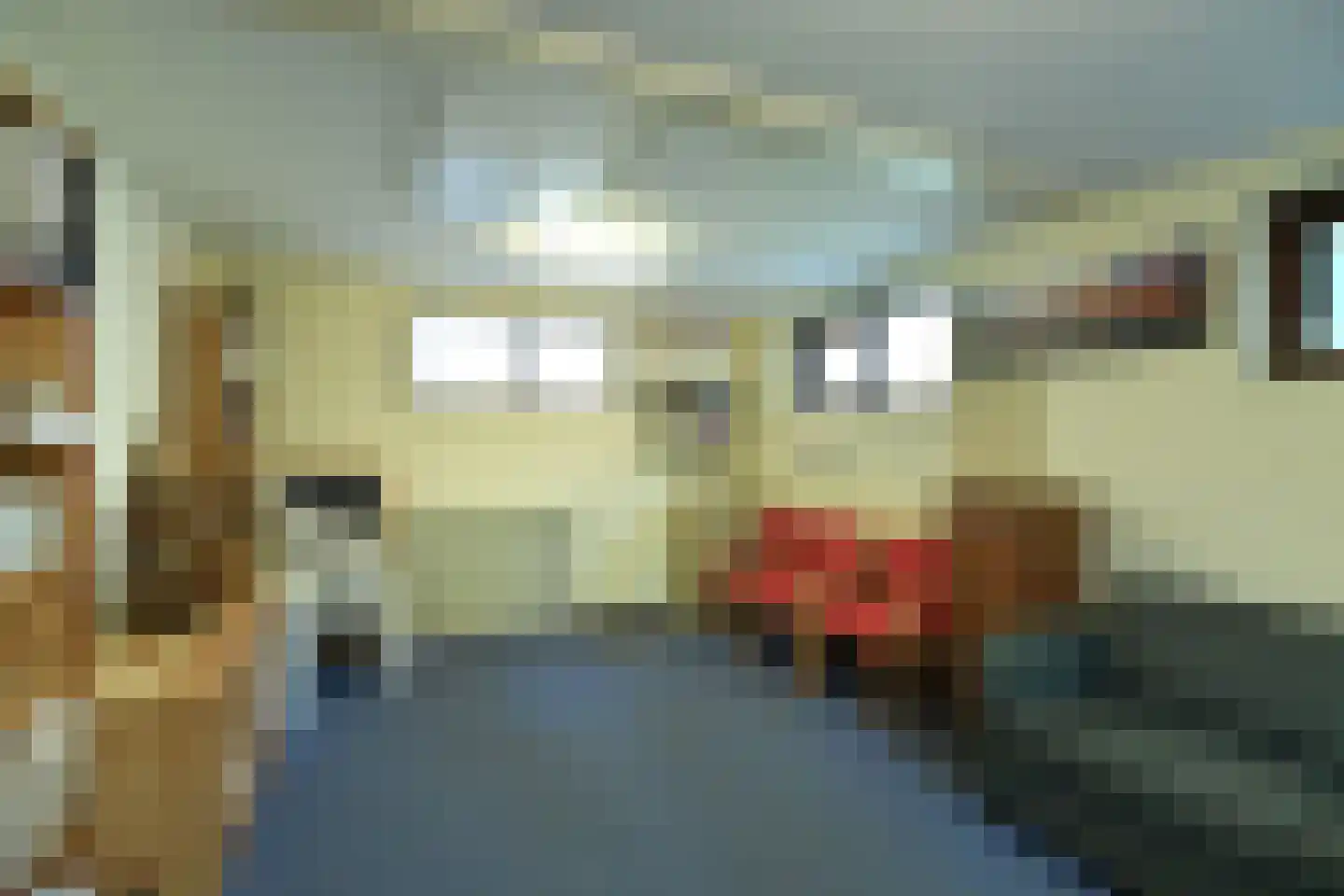 Veldheimweg 2 Renkum thumbnail 43