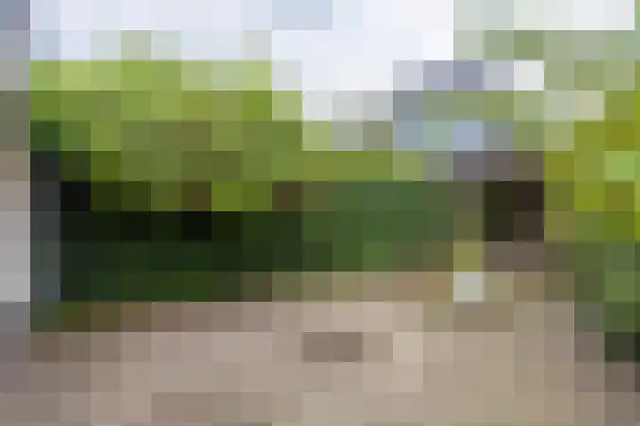 Veldheimweg 28 Baarn thumbnail 18